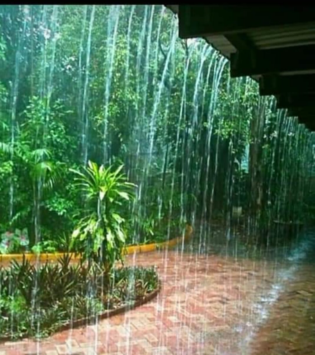 वर्षा रानी